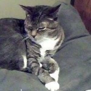 Meet your Posher, Joan